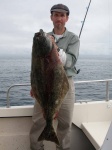 Tom's halibut thanks to Steve on Shearwater
