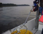 Maryland Line Crabbing 2