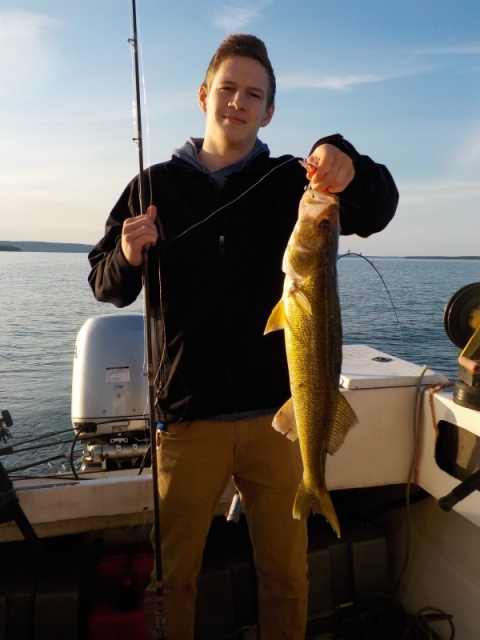 Walleye