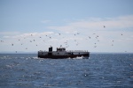 Net boat on Lake Superior 