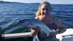 Fishing with my wife at Jeff Head.  Nice little chinook caught near surface
