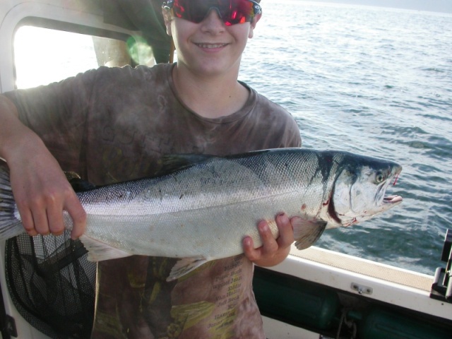 One of 4 ocean run coho caught at the shipwreck on Sunday, 9/1, caught on a green spatter back squid with a full size glow green hot shot flasher.  The other coho were caught on a uv white squid and UV flasher.  all fish caught @ 62', 70', 80', 85'.