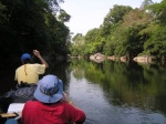 On Pulinga\'s tender down a river