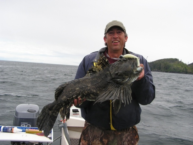 Me with another of my favorite fish-the noble cabezon-Queen Charlotte Strait June 08