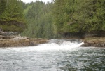 Halibut hunt near Sullivan Bay 5/26/2016