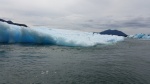 Chasing ice bergs. Le Conte Glacier 6/5/2016