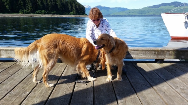 Goldens in Hoonah