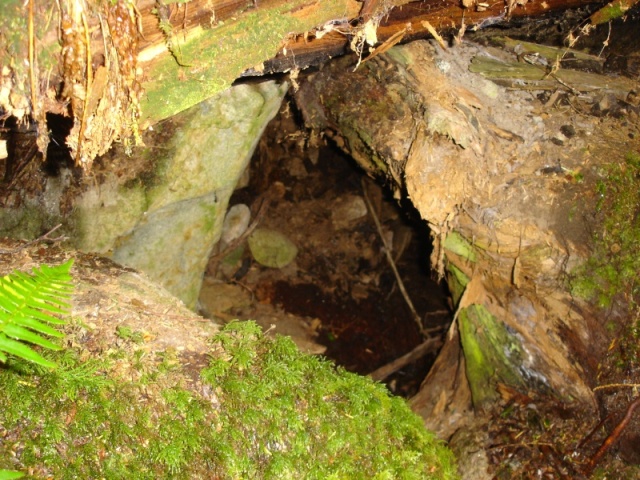 Empty Bear Den, Tenedos Bay