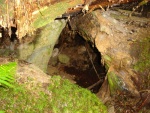 Empty Bear Den, Tenedos Bay