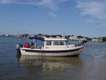 On the beach @ Carrot island across from Beaufort waterfront