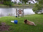 Teddy and I fishing in the Tidal pond in the back yard of the rental house
