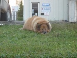 Teddy Glad to be back on dry land after 8 hrs on the Ocean