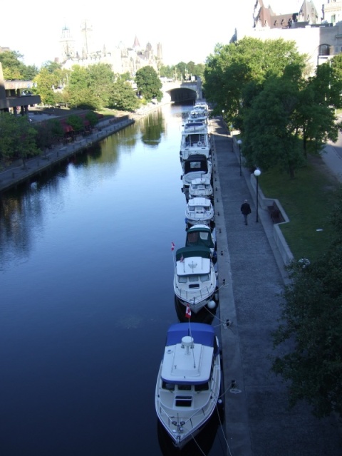 C-Brats lined up in Ottawa