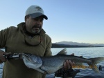 The cold grey light of dawn, on Tahoe