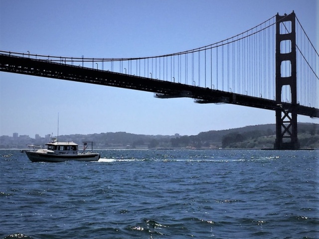 SleepyC under the Golden Gate Bridge SF Bay 4/2020  091.1SFB.4-19