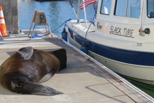 On the Dock, Actually.  Read the name, and took it to heart.  106SFB.4-19