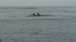 riding rocks in big sur