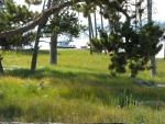 Eagle Bay, Yellowstone Lake