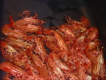 A few shrimp