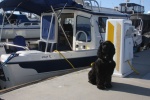 Muffin posing in front of her temporary kennel.