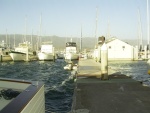 Santa Barbara - Getting a bit rough in the Harbor