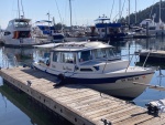 Friday Harbor, notice out fluffy guard dog?