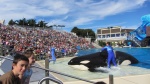 Sea World Cali