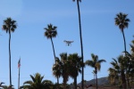 A drone visitor while in Avalon