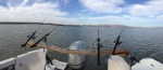 Balancer Beams for Striper and Sturgeon fishing the world famous California Delta