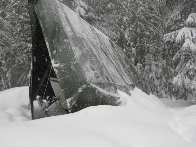Buried in snow, February 2015