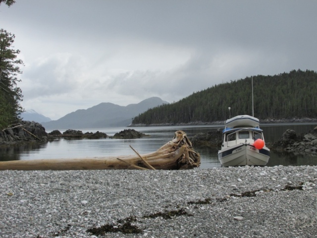 Cherry Islets, southeast off Pitt Island (Squally Channel)