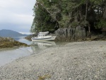 Cherry Islets, southeast off Pitt Island (Squally Channel)
