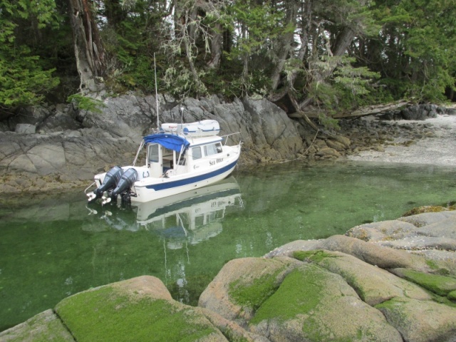 Cherry Islets, southeast off Pitt Island (Squally Channel)
