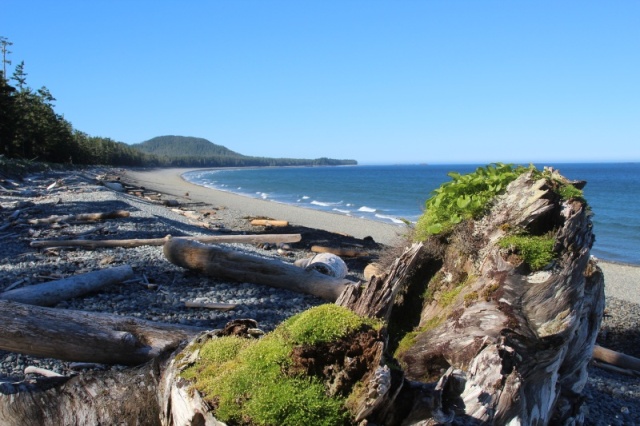 Oval Bay (Porcher Island)