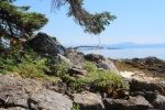 Ducie Island (Hudson Bay Passage). Whitesand Island in background