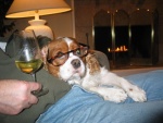 Toby the boat dog- a good read and a fine chardonney