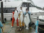 (Mr. Fisherman) Crew catch week 2