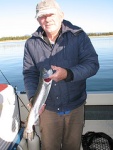 EAGLE LAKE TROUT, CAUGHT ABD RELEASED OCT, '08