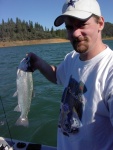 Typical Shasta Lake Rainbow