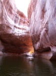 Fifty Mile Creek, Lake Powell