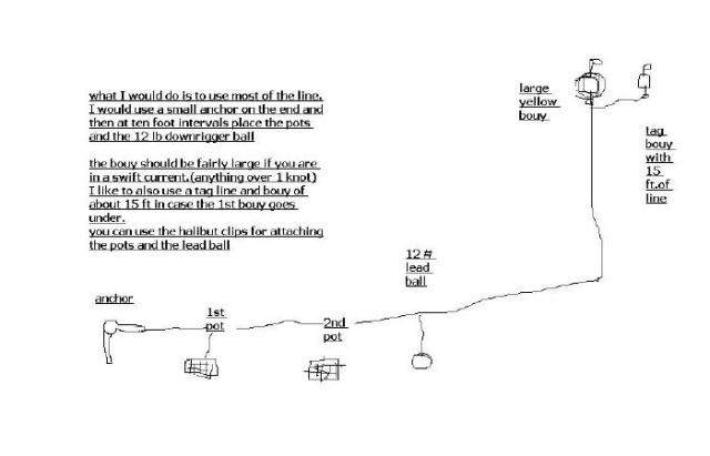 shrimp diagram (2)