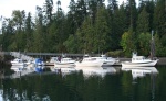 Sequim Bay 06 043