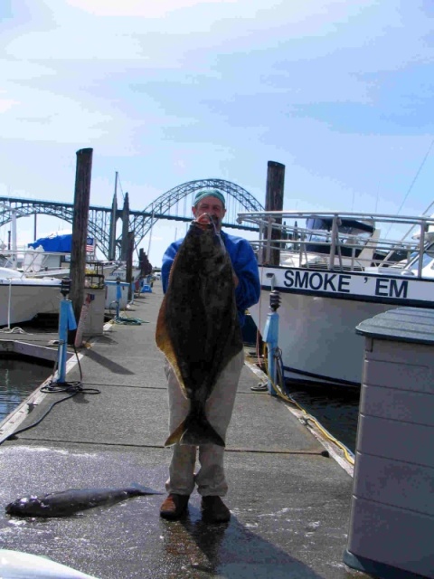 50 lb halibut 2