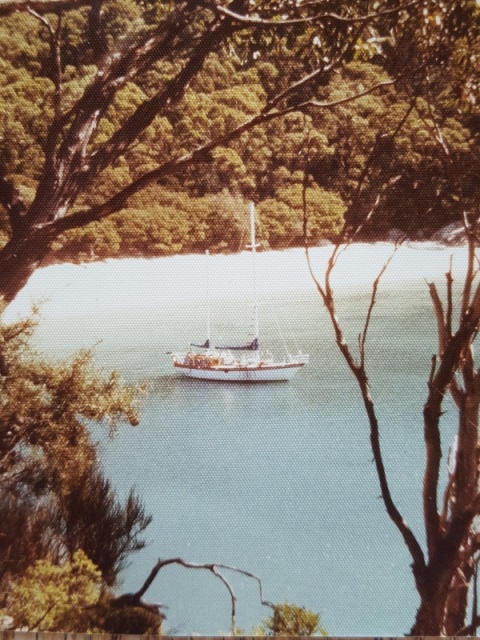 MAYA MAYI  our self built Roberts 45 anchored in Shelter Cove the most southerly point of mainland Australia enroute back to the U.S.