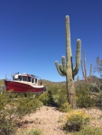 Boaterhoming with Sequoia in 2016 camped at Organ Pipe National Monument on the way back from Mexico 