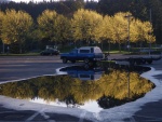 Fall color, twice, in the John Wayne parking lot.