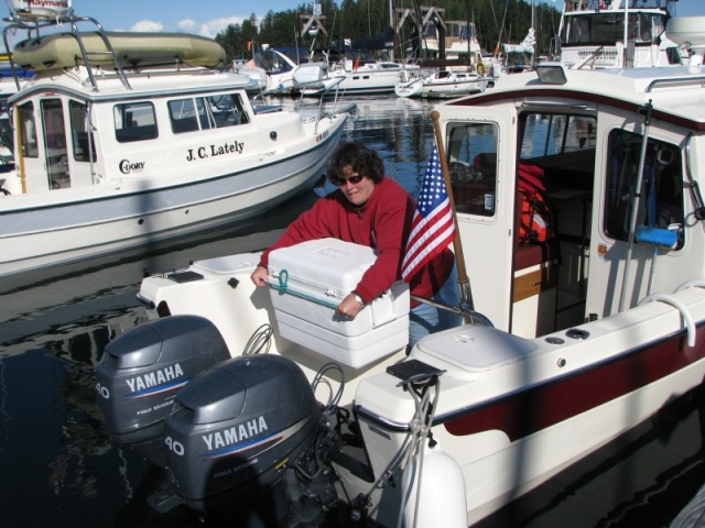 A bungie cord over the cooler holds the towel under it to add inslulation when the sun is shining on the cooler.  The contents temp is monitored on the weather station board with the remote sensor for Outdoor temps.  Friday Harbor 2009. 