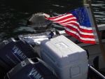 Combine these makings for a fine evening.  Yacht ensign on the back of a CD; a little power to get out on the water; a cooler with some staples; and a grill to fix it with. 