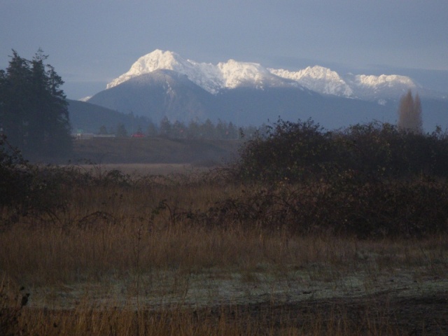 Hurricane ridge with a nice coat on.  Looks like this is country side, just out the back door.