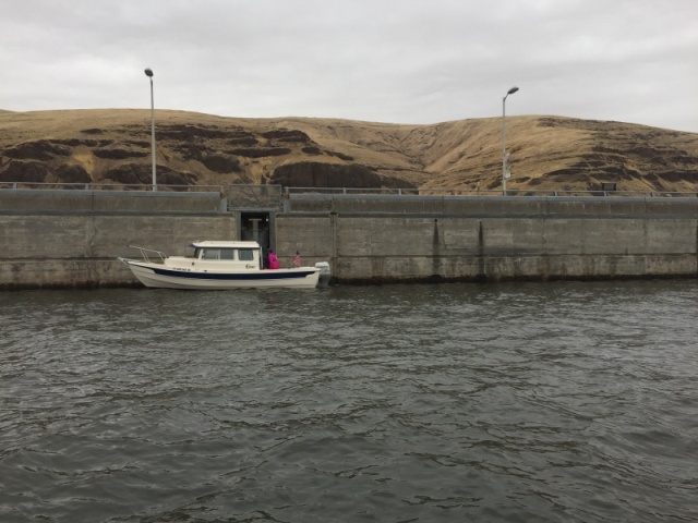 Wagon boss (Pounder)  in the lock